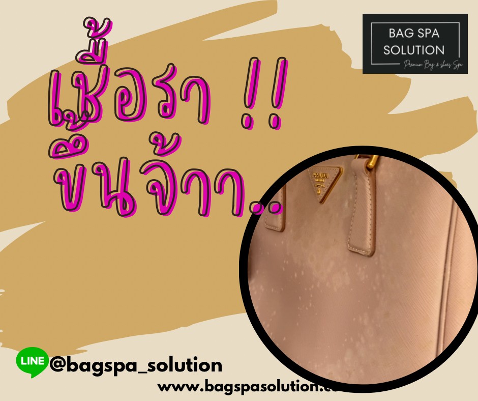 เชื้อราขึ้นกระเป๋า | สปากระเป๋ากรุงเทพ Bag Spa Solution